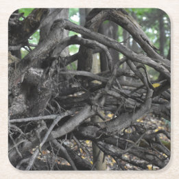 Love of a Fallen Tree Square Paper Coaster
