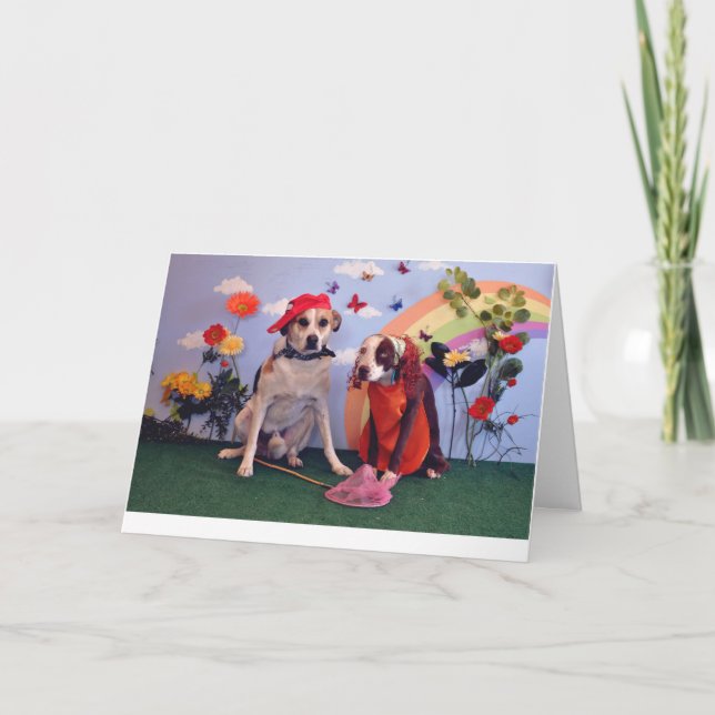 Love or anniversary card, dog photo, humourous card (Front)