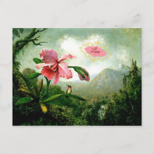 Love, Orchid and Hummingbird near a Waterfall Postcard