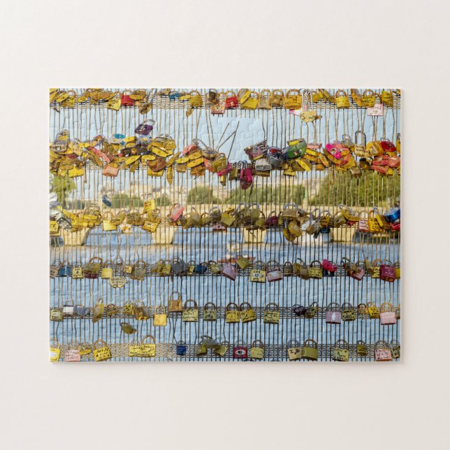Love padlocks on Pont de Solferino - Paris, France Jigsaw Puzzle (Horizontal)