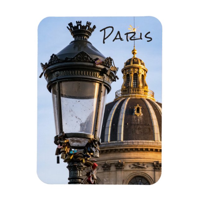 Love padlocks on the Pont des arts in Paris Magnet (Vertical)