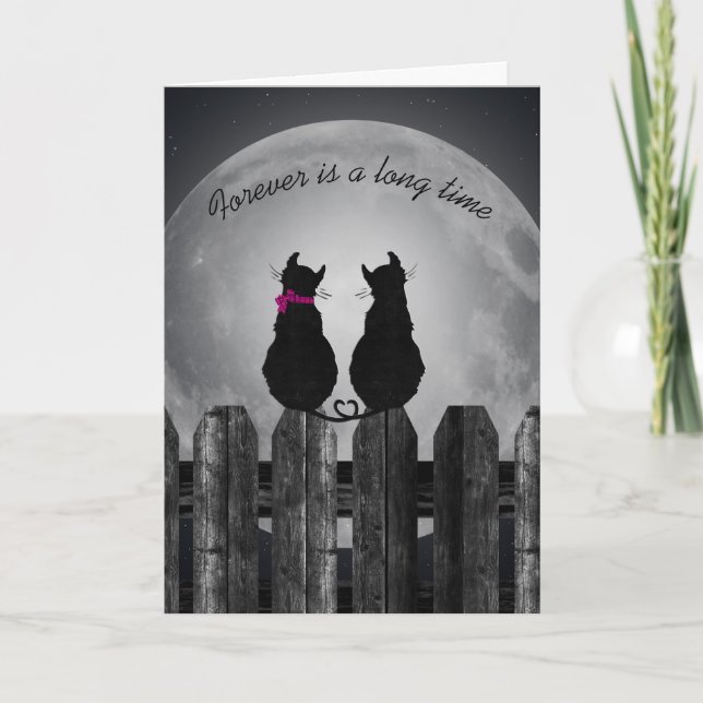 love-pair of cats in the moonlight card (Front)