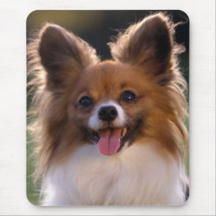 Love Papillon Puppy Dog Mousepad