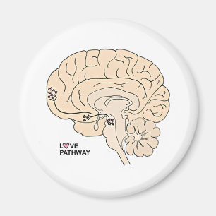 Love Pathway: Love in the Brain Magnet