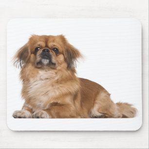 Love Pekingese Puppy Dog Mousepad