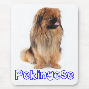 Love Pekingese Puppy Dog Mousepad