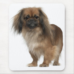 Love Pekingese Puppy Dog Mousepad