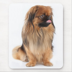 Love Pekingese Puppy Dog Mousepad