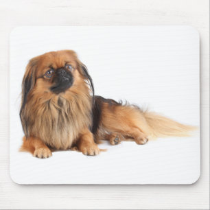 Love Pekingese Puppy Dog Mousepad