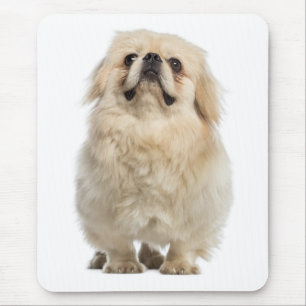 Love Pekingese Puppy Dog Mousepad