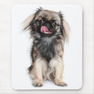 Love Pekingese Puppy Dog Mousepad