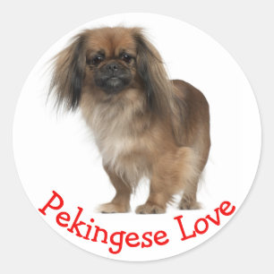 Love Pekingese Puppy Dog Sticker / Seal