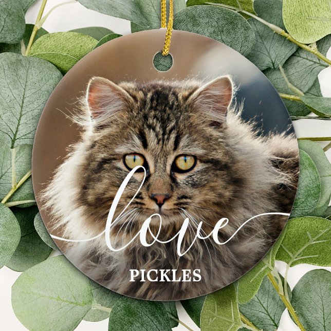 Love Personalised 2 Photo Cat Pet Memorial Ceramic Ornament (Creator Uploaded)