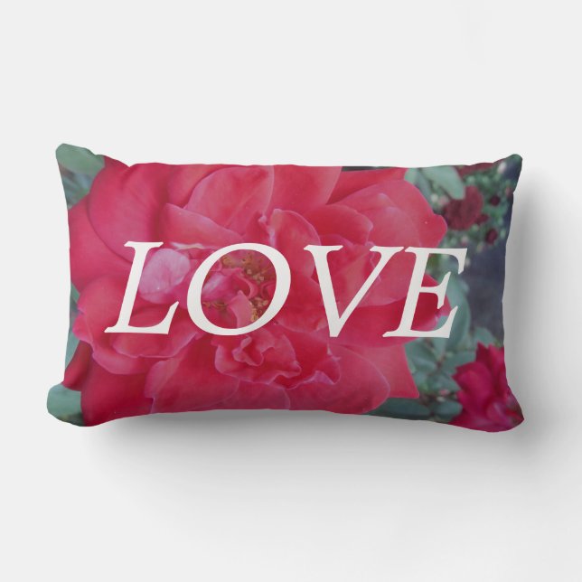 lOVE Pink Red Rose inspiration pillow (Front)