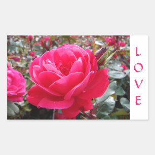 Love Pink Romance Rose Stickers