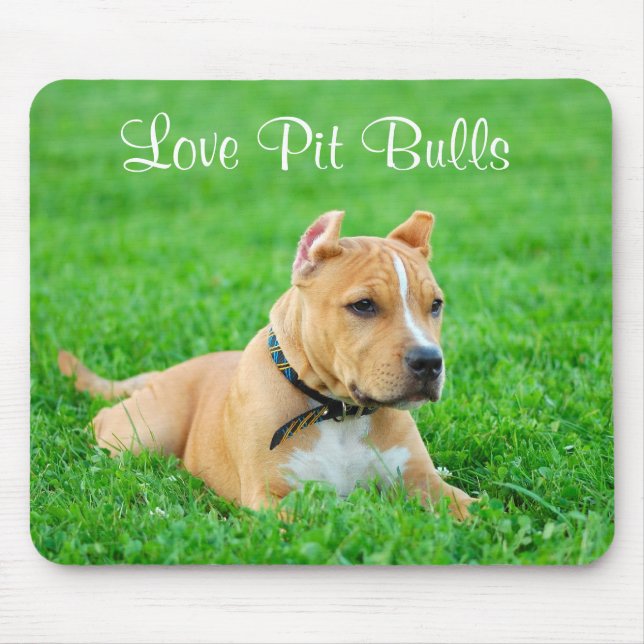 Love Pit Bulls  Mousepad (Front)