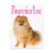 Love Pomeranian Puppy Dog Blank Post Card