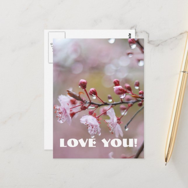 Love Postcard (Front/Back In Situ)