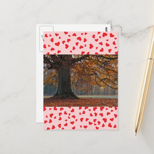 Love Postcard (Front/Back In Situ)