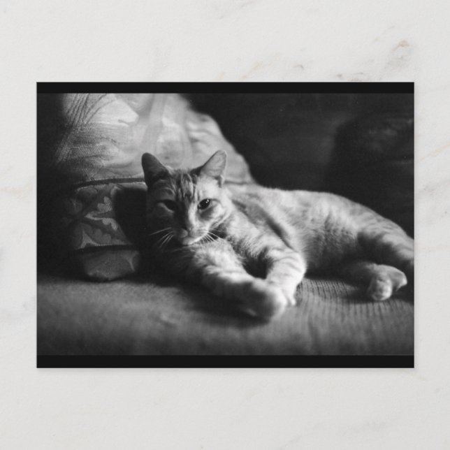 Love Postcard (Front)