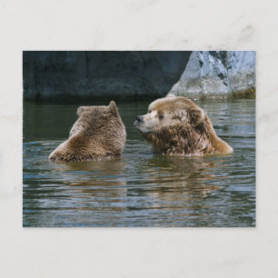 Love Postcard