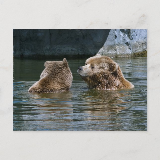 Love Postcard (Front)