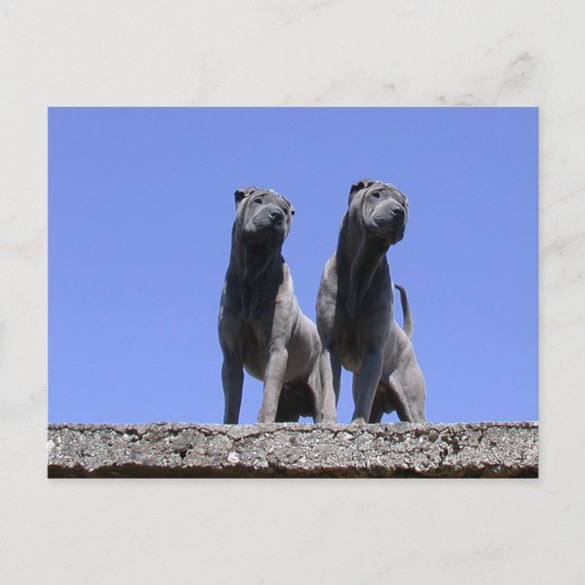 Love... Postcard (Front)