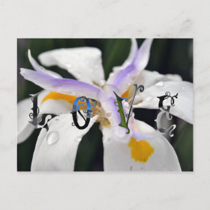 Love Postcard
