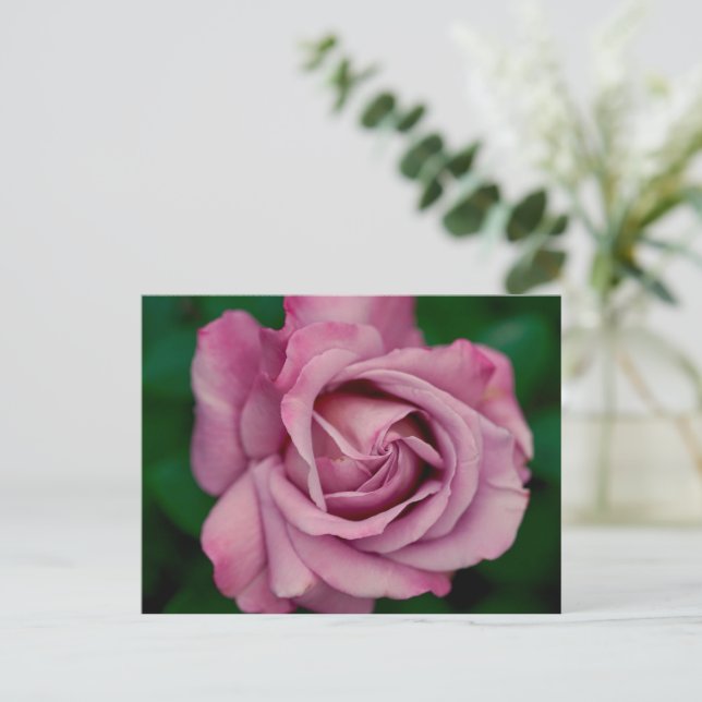 Love Postcard (Standing Front)