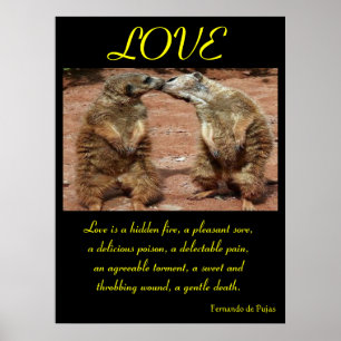 LOVE Posters Animal 1