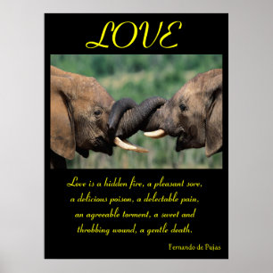LOVE Posters Animal 5
