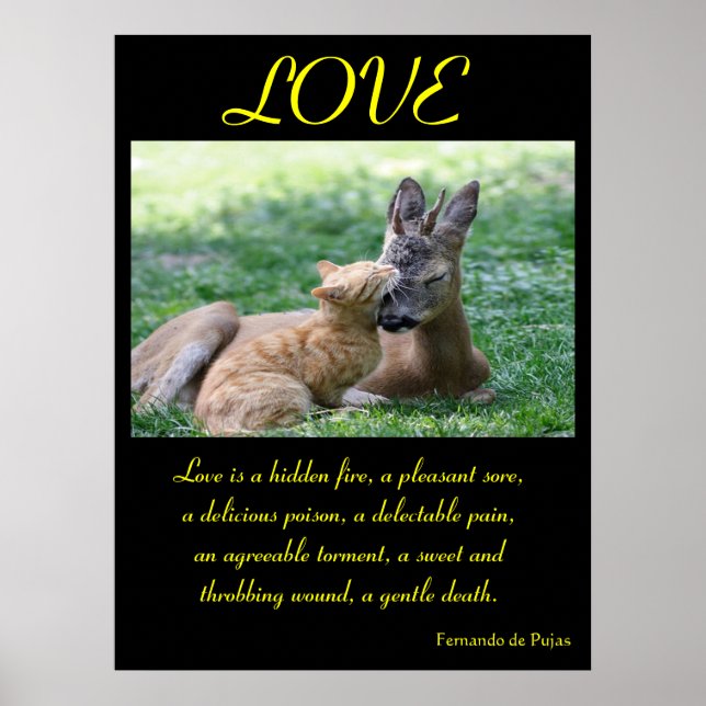 LOVE Posters Animal 6 (Front)
