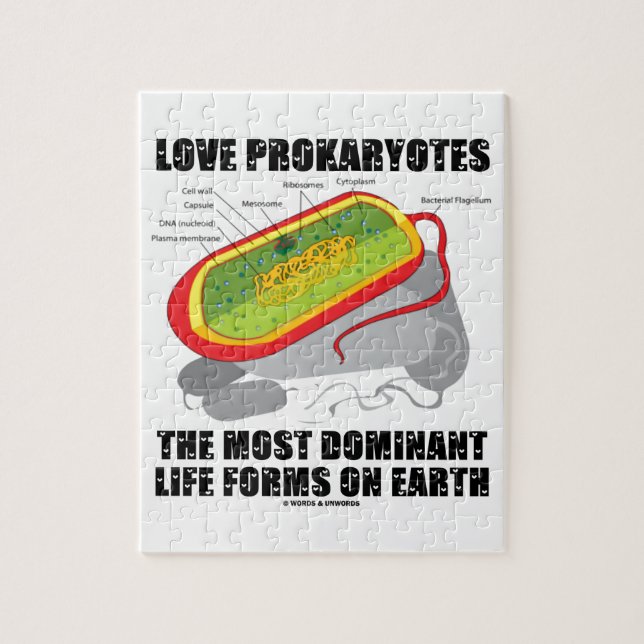 Love Prokaryotes Most Dominant Life Forms On Earth Jigsaw Puzzle (Vertical)
