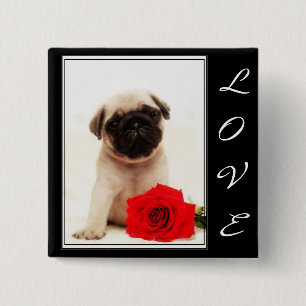 Love Pug puppy button