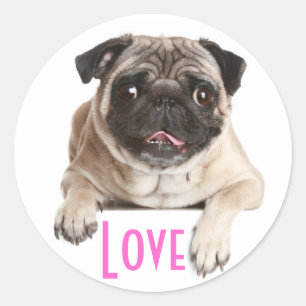 Love Pug Puppy Dog Greeting Stickers