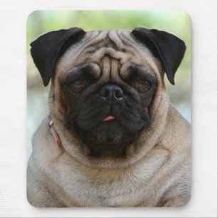Love Pug Puppy Dog Portrait Mousepad