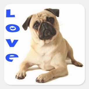 Love Pug Puppy Dog Sticker / Seal
