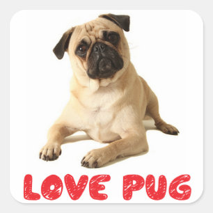 Love Pug Puppy Dog Sticker / Seal