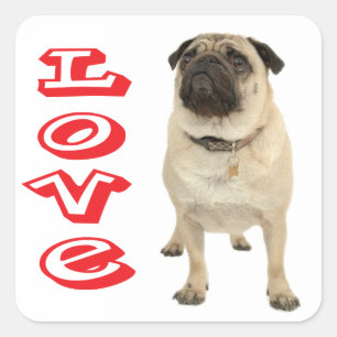 Love Pug Puppy Dog Sticker / Seal