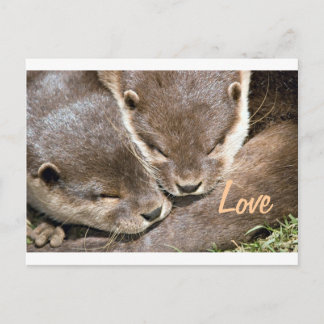 Love Quote - Otters Postcard