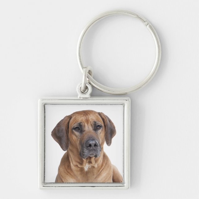 Love Rhodesian Ridgeback Puppy Dog Keychain (Front)