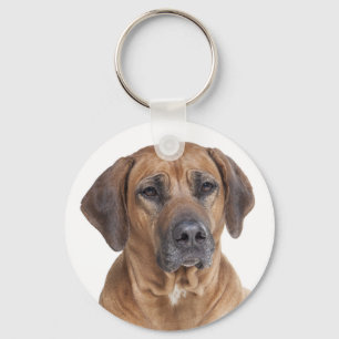 Love Rhodesian Ridgeback Puppy Dog Keychain