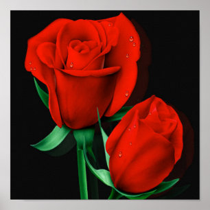 Love Rose 11" x 8.5", Value Poster Paper (Matte)