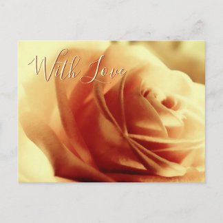 Love Rose Flower Customisable Postcard