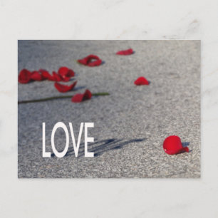 LOVE & Rose Petals Postcard