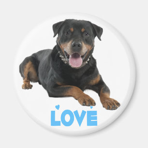 Love Rottweiler Brown & Black Puppy Dog Cartoon Magnet