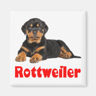 Love Rottweiler Brown & Black Puppy Dog Cartoon Magnet