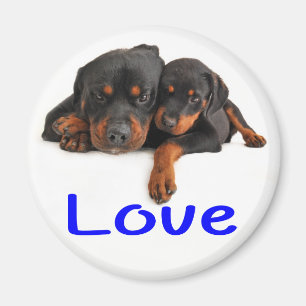 Love Rottweiler Brown & Black Puppy Dog Magnet