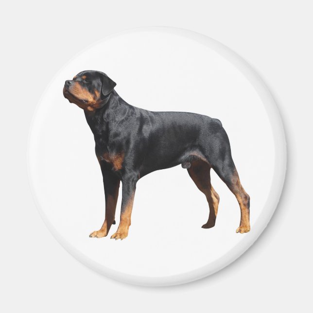 Love Rottweiler Puppy Dog Magnet (Front)