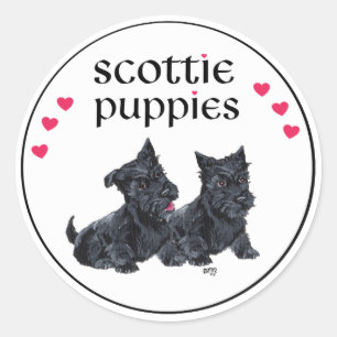 Love Scottie Puppies Valentine Classic Round Sticker
